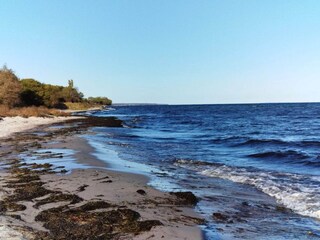 Ferienhaus Vaeggerløse  11