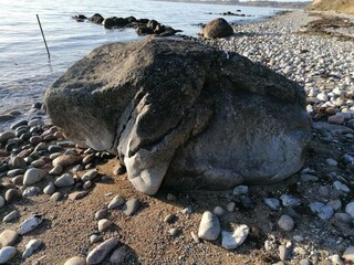 Maison de vacances Vaeggerløse  35