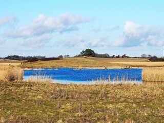 Ferienhaus Bagenkop Außenaufnahme 5
