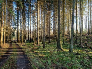 Casa per le vacanze Binderup Strand  12