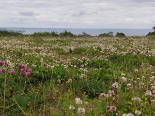 Maison de vacances Binderup Strand  23