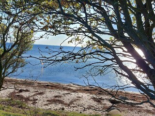 Vakantiehuis Binderup Strand  11