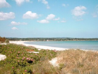Vakantiehuis Balka Strand  13