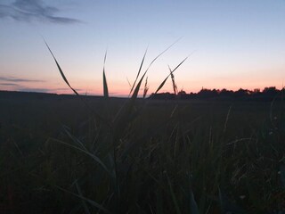 Casa per le vacanze Kramnitse  12