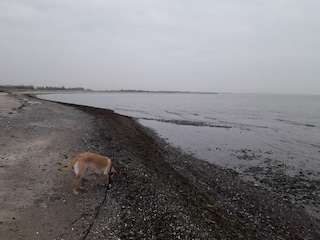 Maison de vacances Kramnitse  32