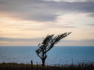 Ferienhaus Lønstrup  38
