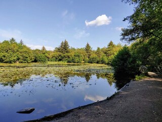 Vakantiehuis Aalbæk  28