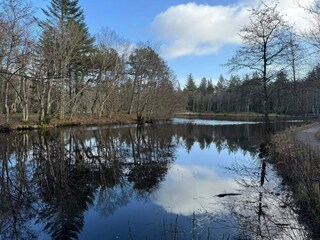 Casa de vacaciones Aalbæk  19