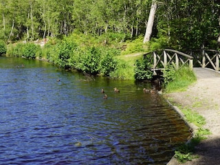 Maison de vacances Aalbæk  17