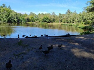 Ferienhaus Aalbæk  22