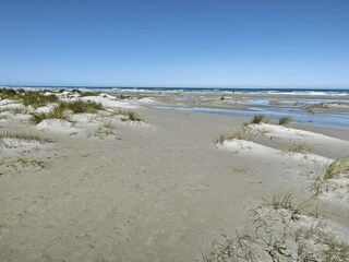 Ferienhaus Aalbæk Außenaufnahme 5