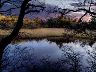 Vakantiehuis Aalbæk  28