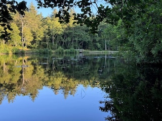 Vakantiehuis Aalbæk  29