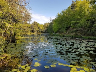 Maison de vacances Aalbæk  30