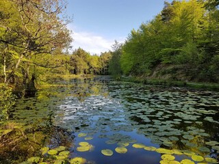 Vakantiehuis Aalbæk  30