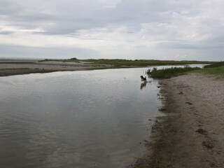 Maison de vacances Hals  11