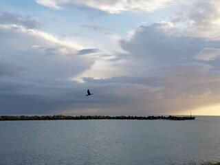 Maison de vacances Hals  8