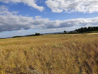 Maison de vacances Fåborg  17