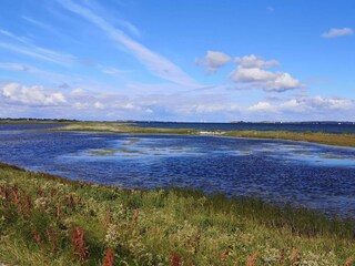 Ferienhaus Fåborg  22