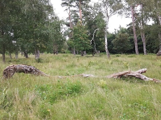 Ferienhaus Uslev  13