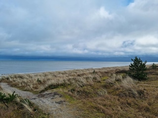 Ferienhaus Uslev  40