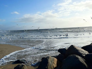 Casa per le vacanze Blåvand  44