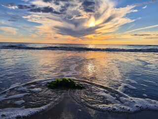 Ferienhaus Toftum  37