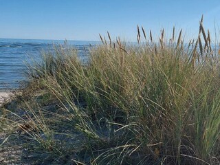 Casa per le vacanze Binderup Strand  10