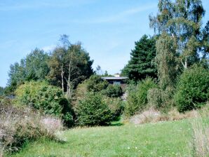 Ferienhaus 6 persoons vakantie huis in Rudkøbing-By Traum