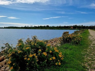 Ferienhaus Henne Strand  27