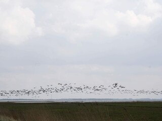 Ferienhaus Thorsminde  14