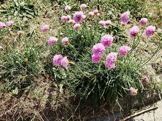 Maison de vacances Thorsminde  26