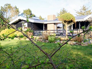 Casa de vacaciones Helligsø Grabación al aire libre 8