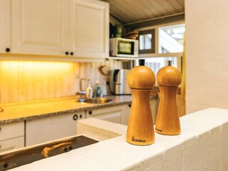 Ferienhaus Skiveren  24