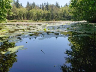 Vakantiehuis Skiveren  22