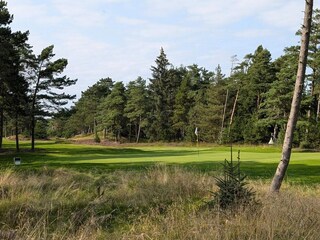 Vakantiehuis Blåvand  17