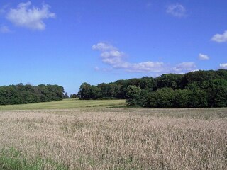 Ferienhaus Gudhjem  23