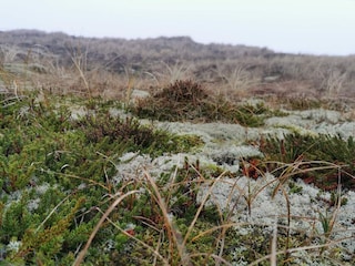 Ferienhaus Bork Havn  24