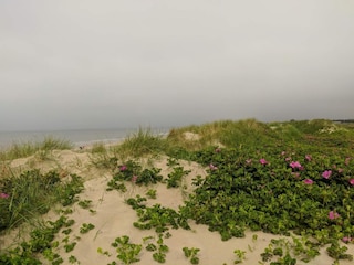Holiday house Blåvand  13