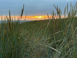 Casa de vacaciones Blåvand  21