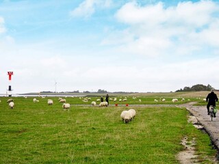 Ferienhaus Otterndorf  18