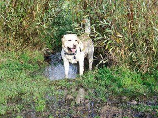 Casa per le vacanze Otterndorf  3