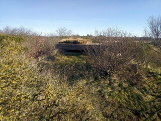 Vakantiehuis Stauning  34