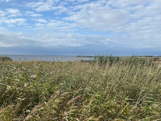 Casa per le vacanze Stauning  36