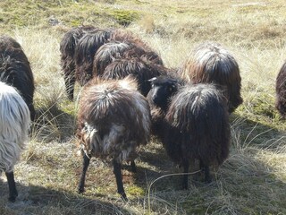 Casa de vacaciones Grömitz  18