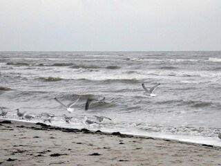 Vakantiehuis Grömitz  14