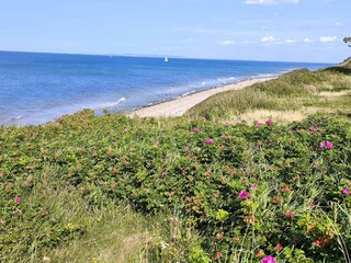 Casa de vacaciones Gilleleje  19