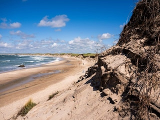 Ferienhaus Vorupør  36