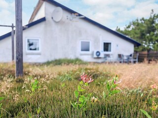 Casa per le vacanze Vorupør Registrazione all'aperto 8