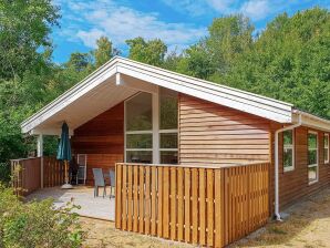 Holiday house 8 person holiday home in Hasle - Hasle - image1
